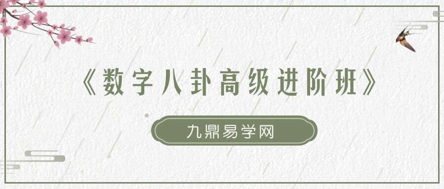 《数字八卦高级进阶班》德轩老师交付课
