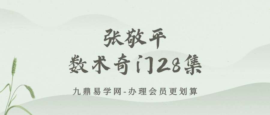 张敬平数术奇门28集