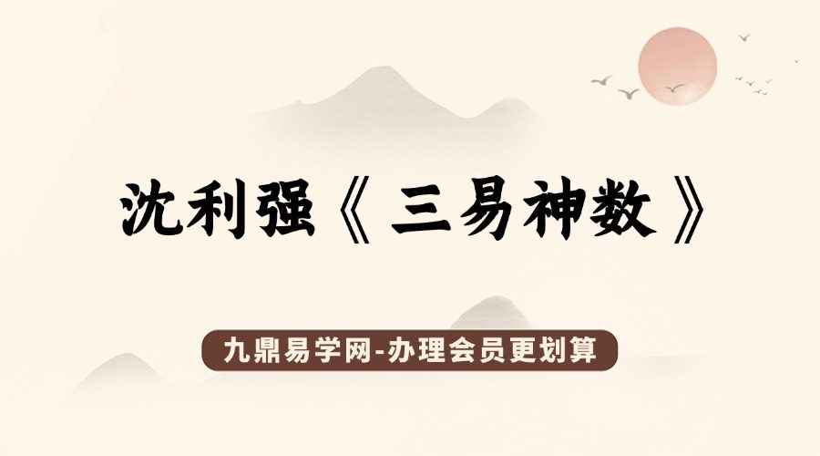 沈利强《三易神数》35集