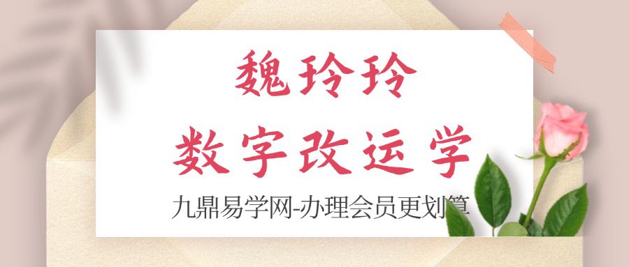 魏玲玲数字改运学 高级实践课程12集