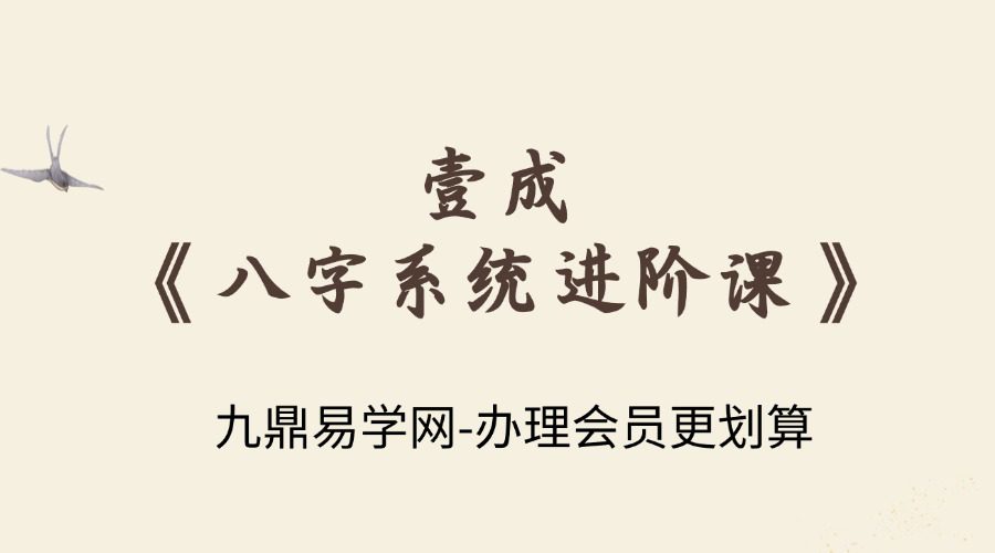 壹成《八字系统进阶课》21集