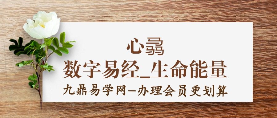 心骉老师数字易经_生命能量