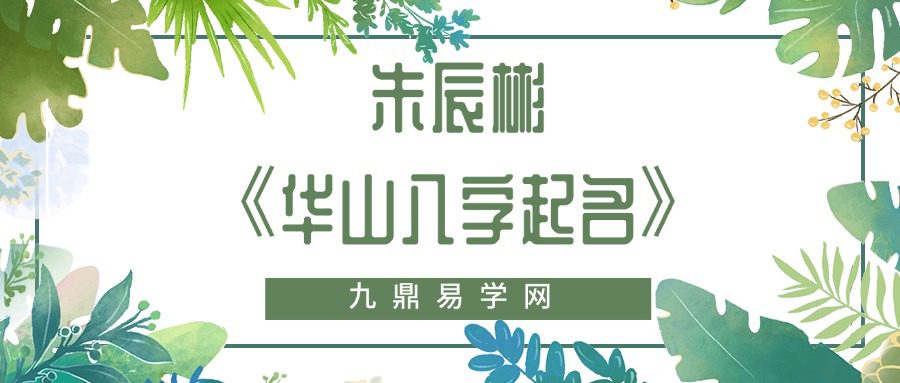 朱辰彬《华山八字起名》 20集