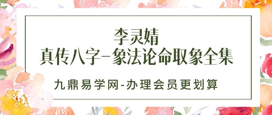 李灵婧老师《真传八字-象法论命取象全集》4集视频约6.5小时