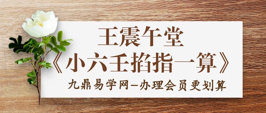 王震午堂《小六壬掐指一算》12集