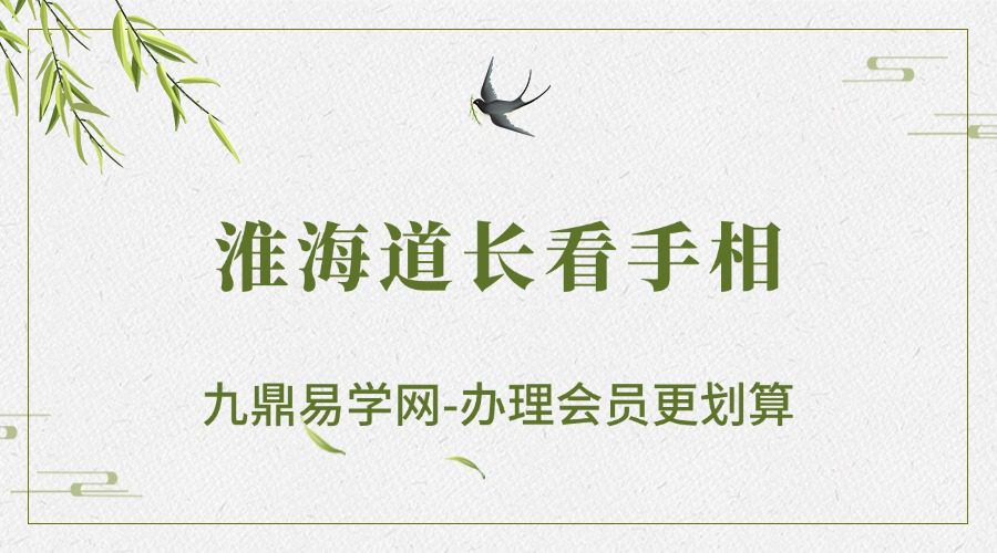 淮海道长看手相（九鼎易学）