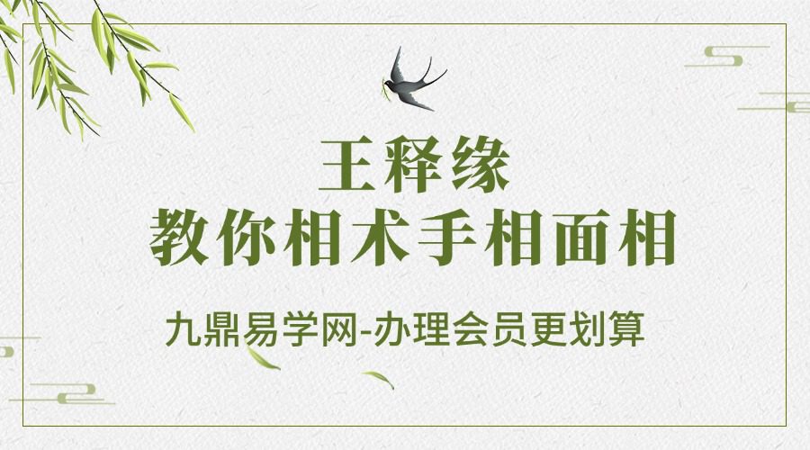 王释缘教你相术手相面相210集视频（九鼎易学）