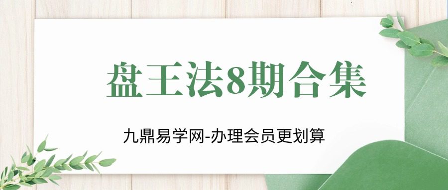 盘王法8期合集