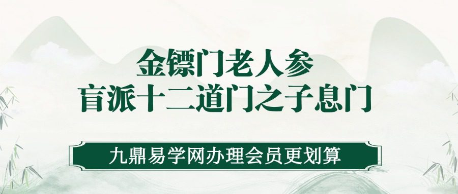 金镖门老人参盲派十二道门之子息门录音加电子文档（九鼎易学）