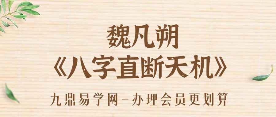 魏凡朔《八字直断天机》34集