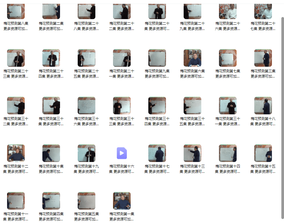 唐友权梅花易数课程梅花精断 36集 网盘