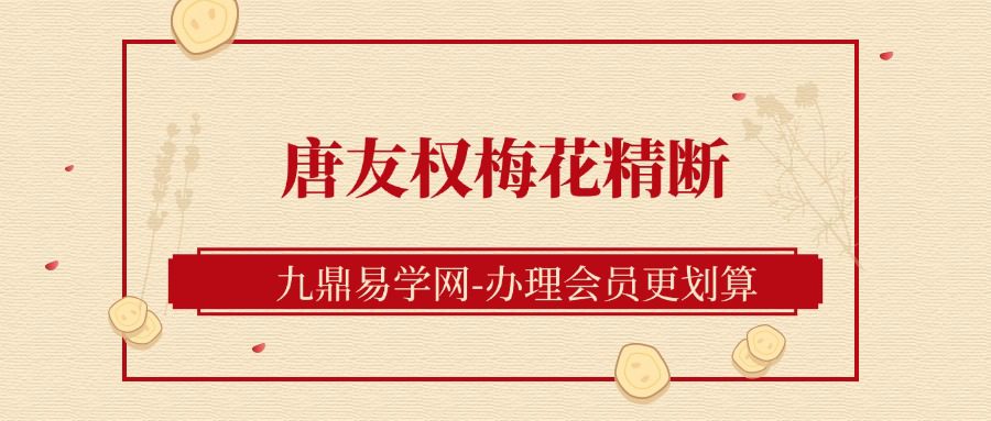 唐友权梅花易数课程梅花精断 36集