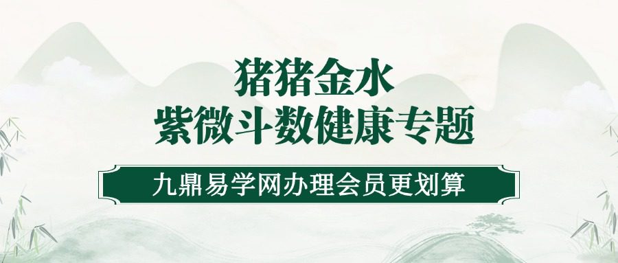 猪猪金水 紫微斗数健康专题 音频 22集