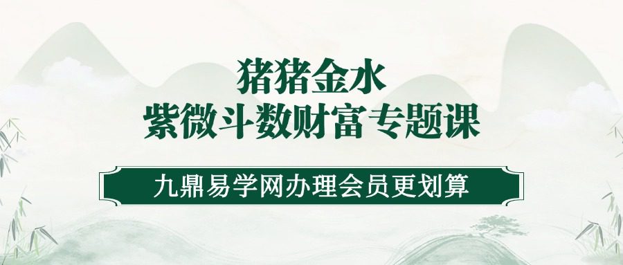 猪猪金水 紫微斗数财富专题课 音频 21节