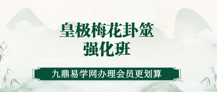 陈春林2024年皇极梅花卦筮强化班