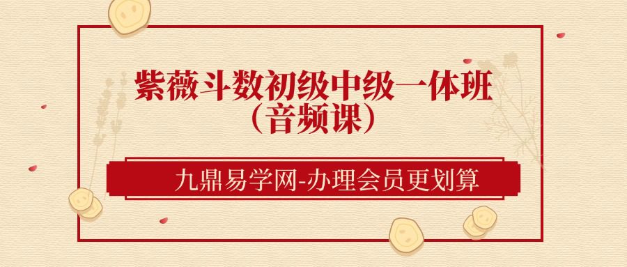 紫薇斗数初级中级一体班（音频课）【完结】