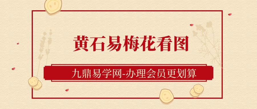 黄石易2020年梅花看图视频（九鼎易学）