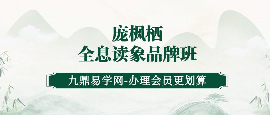 《庞枫栖全息读象品牌班》10集