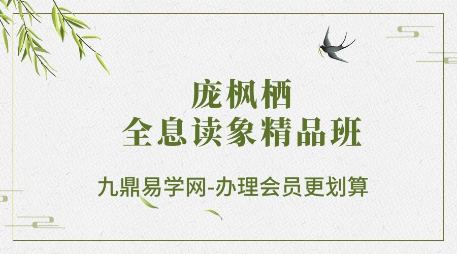 《庞枫栖老师全息读象精品班》8集