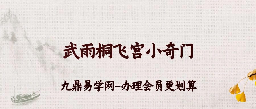 武雨桐飞宫小奇门