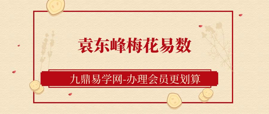 留香整理-袁东峰梅花易数讲义10集360MB