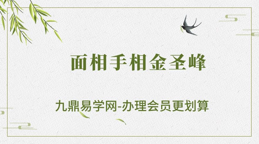 面相手相：金圣峰