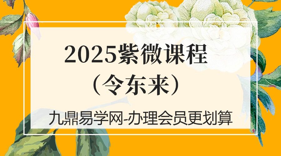 2025紫微课程（令东来）13
