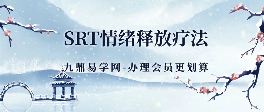 《SRT情绪释放疗法》-修行杨飞鸿