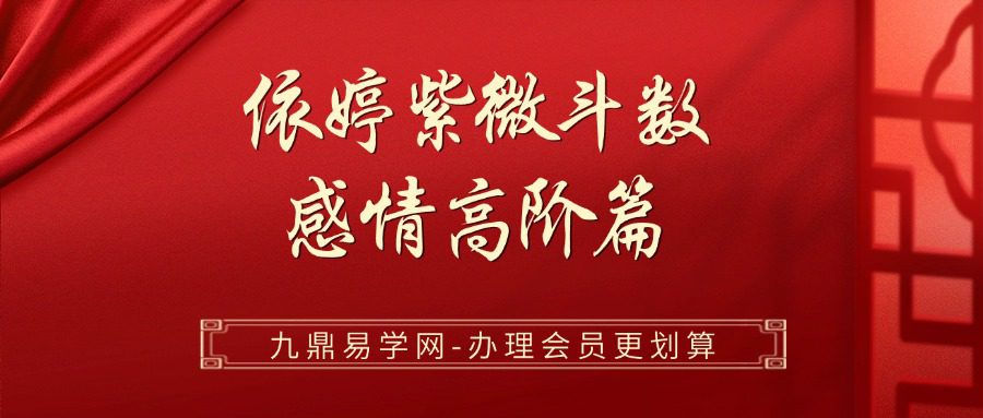 依婷紫微斗数 感情高阶篇 317页
