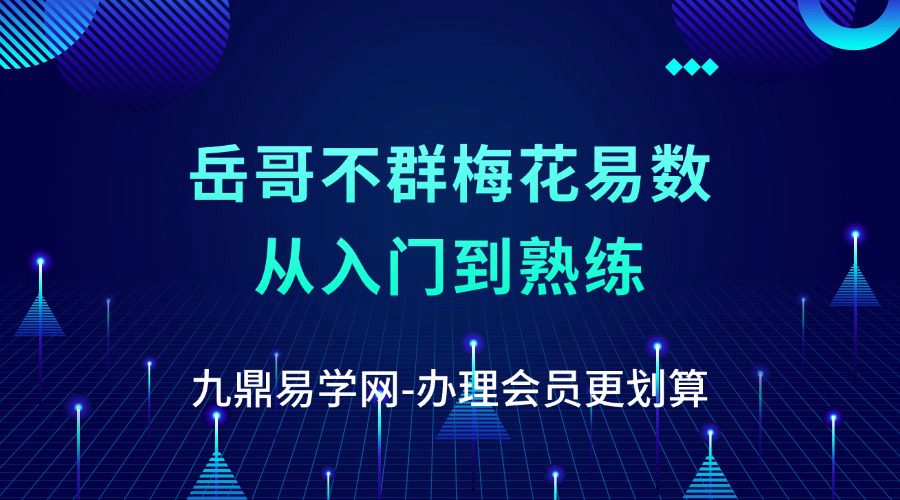 岳哥不群梅花易数从入门到熟练【疯狂的易经小店】