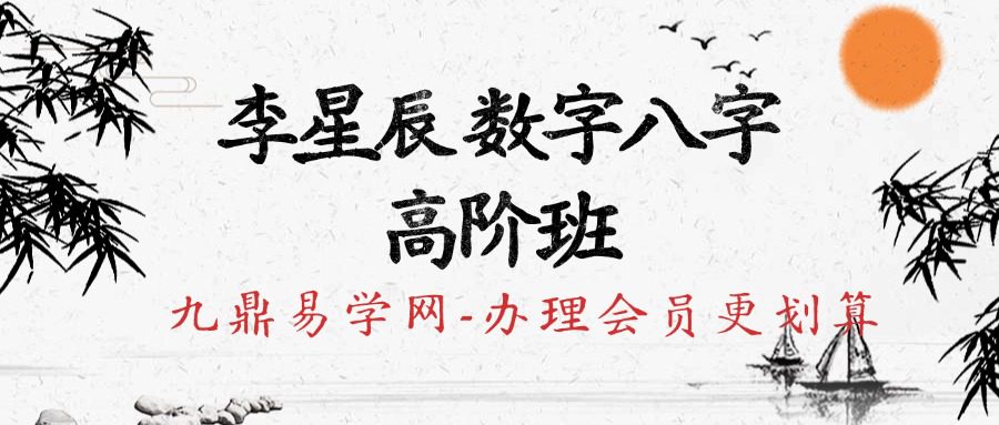李星辰 数字八字 _ 高阶班