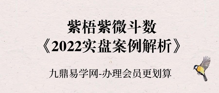 紫梧紫微斗数-《2022实盘案例解析》(224单页)
