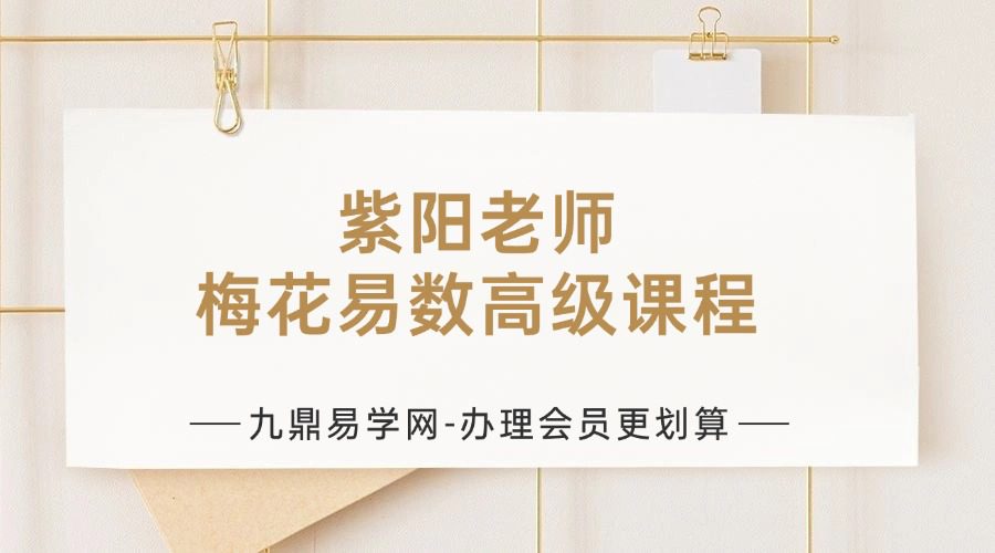 紫阳老师《梅花易数高级课程》视频14集