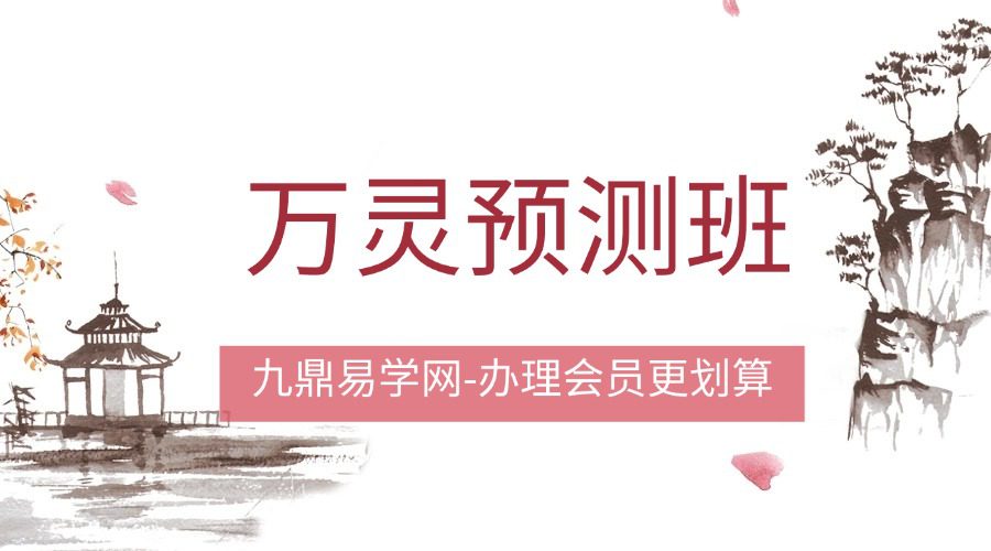 万灵预测班