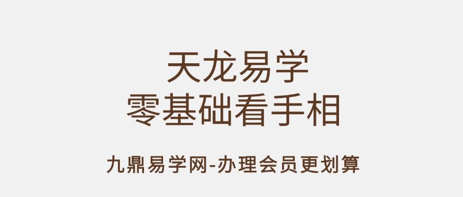 天龙易学零基础看手相31集
