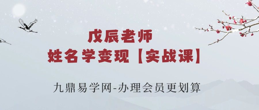 戊辰老师姓名学变现【实战课】