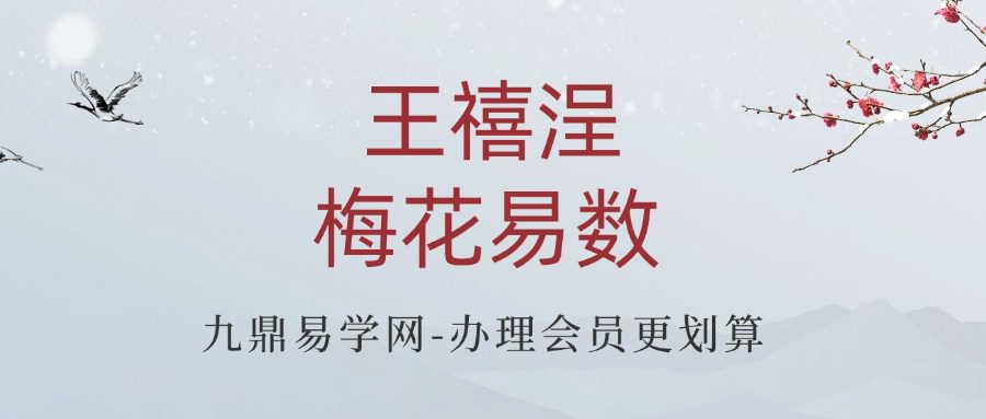王禧浧梅花易数视频课