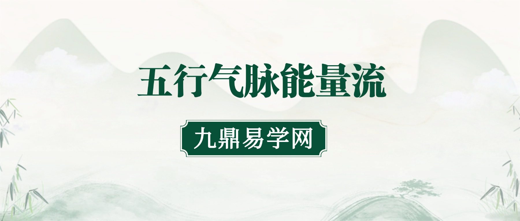 五行气脉能量流 王欣 视频6集