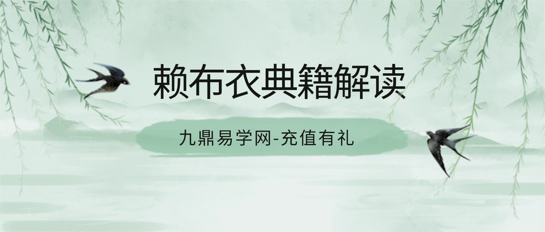 赖布衣典籍解读 767页pdf