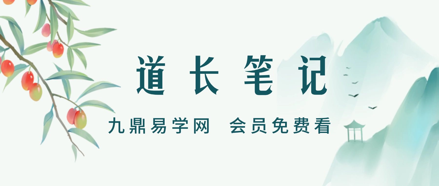道长笔记225页电子书