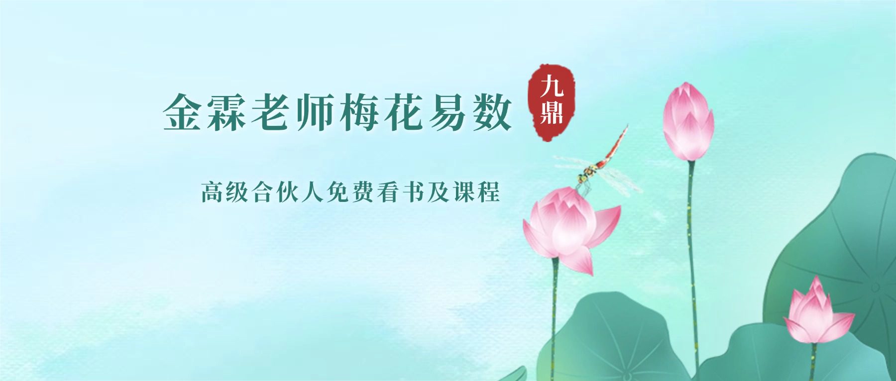 金霖老师梅花易数 视频34集