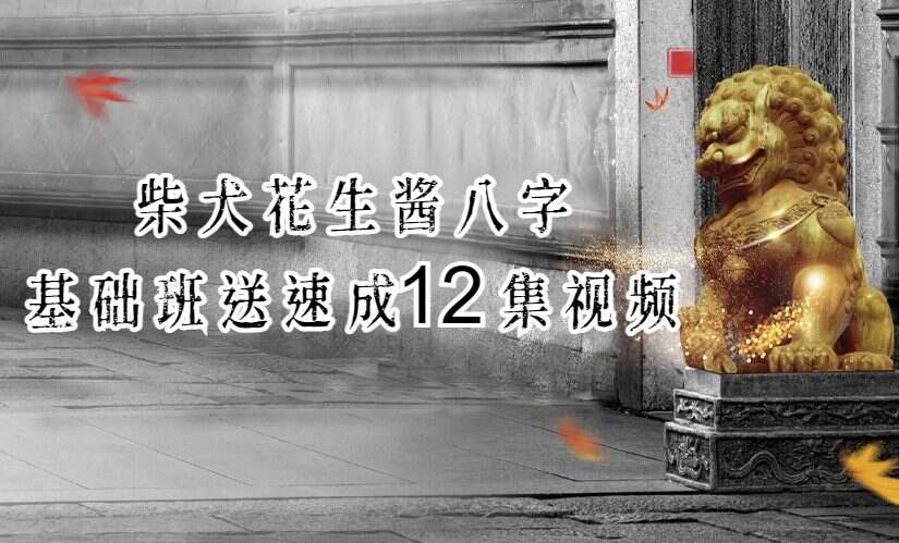 柴犬花生酱八字基础班送速成12集视频（九鼎易学）