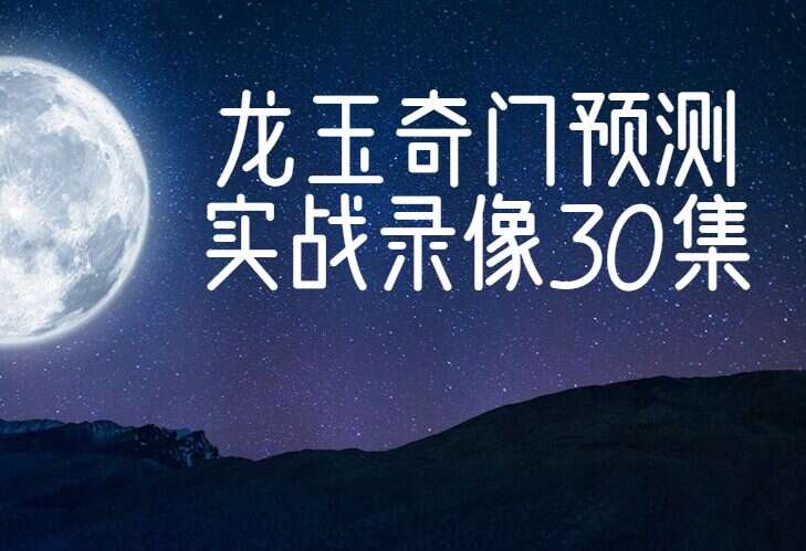 龙玉奇门预测实战录像30集（九鼎易学）