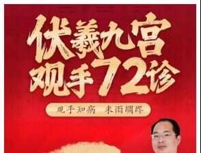 仇文杰 伏羲九宫观手七十二诊 全99讲视频课 原价3980