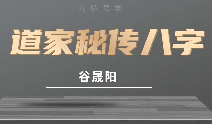 谷晟阳道家秘传八字命理面授课程 12集（九鼎易学）
