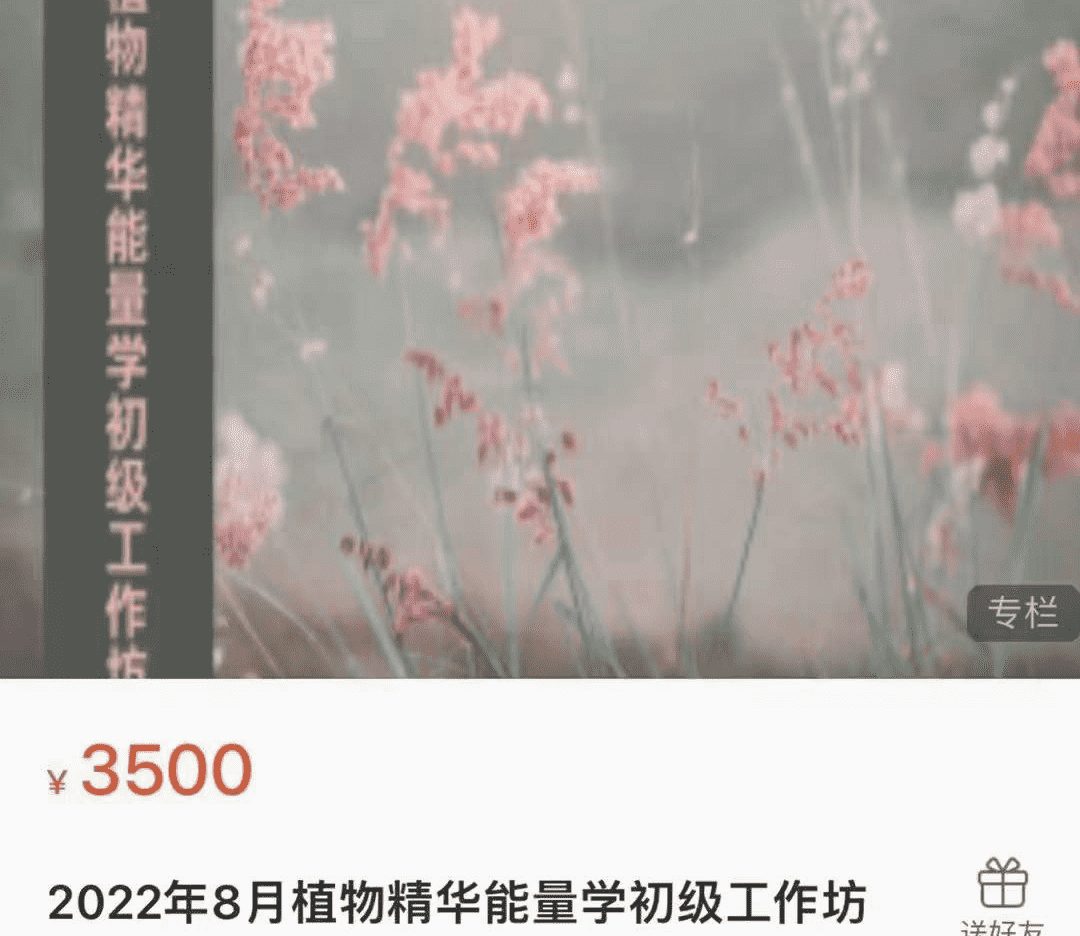 2022年8月植物精华能量学初级工作坊 10集