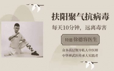 内丹导引术—扶阳聚气系列课程 10集