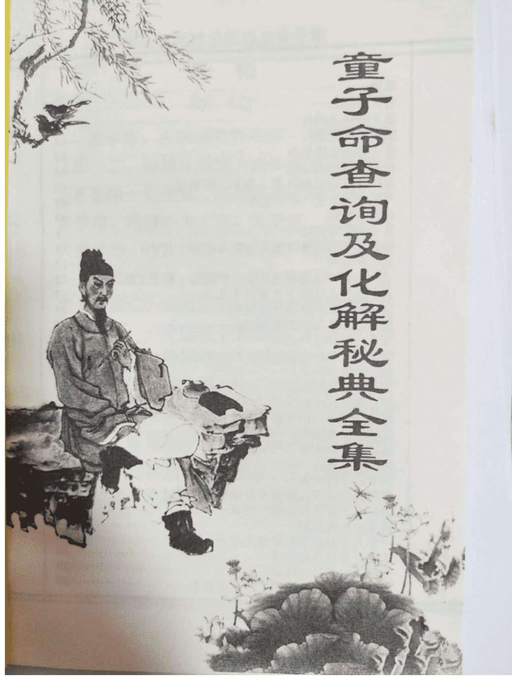 童子命查询及化解秘典全集