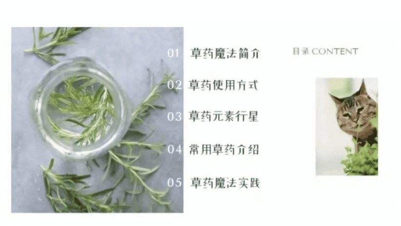 Milanu魔法草药 视频+录音文档