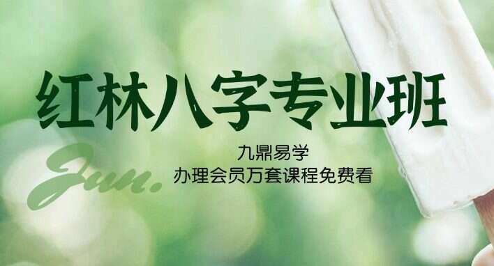 红林八字专业班 37集视频